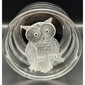 Vintage Beautiful 1960's Lucite Owl Design Clear Round Jewelry Trinket Box